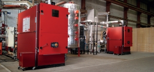 Biomass heating: Making the switch Biomass heating: Making the switch