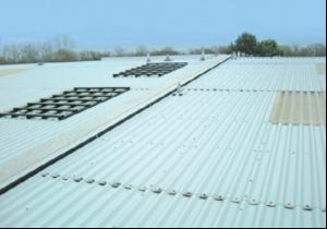 Roof safety system