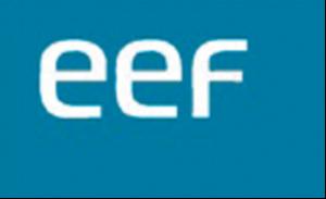 EEF publishes its Energy Action Plan