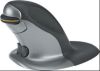 Penguin: Another form of mouse