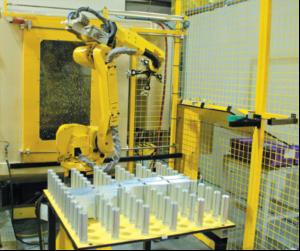 Robot's role