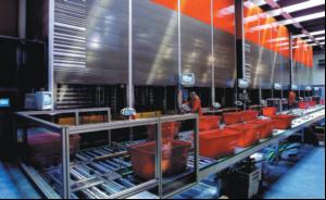 Lifting ergonomic storage standards
