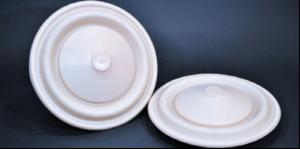 PTFE diaphragms