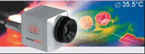 In the picture on inline cameras?
