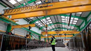 Mix of cranes