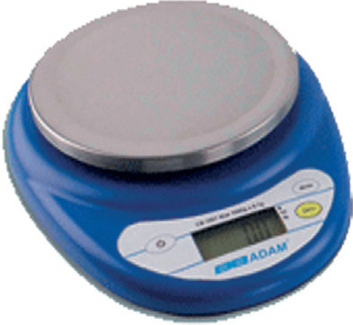 Portable balance