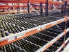 interroll carton versi-flow
