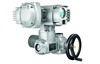 auma1