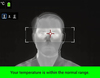Thermal camera screening for entry control