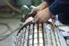 Ensuring a good quality motor repair